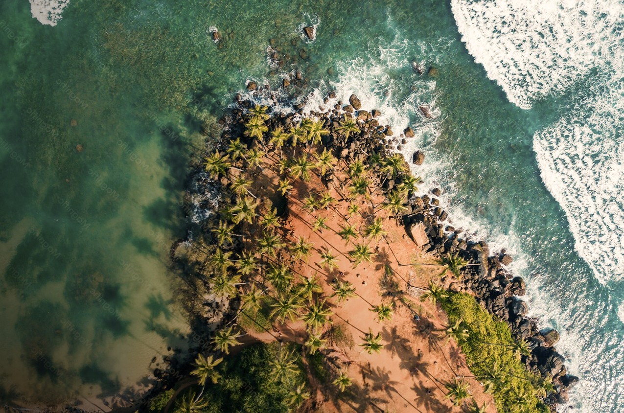 coconut-trees-hill-mirissa